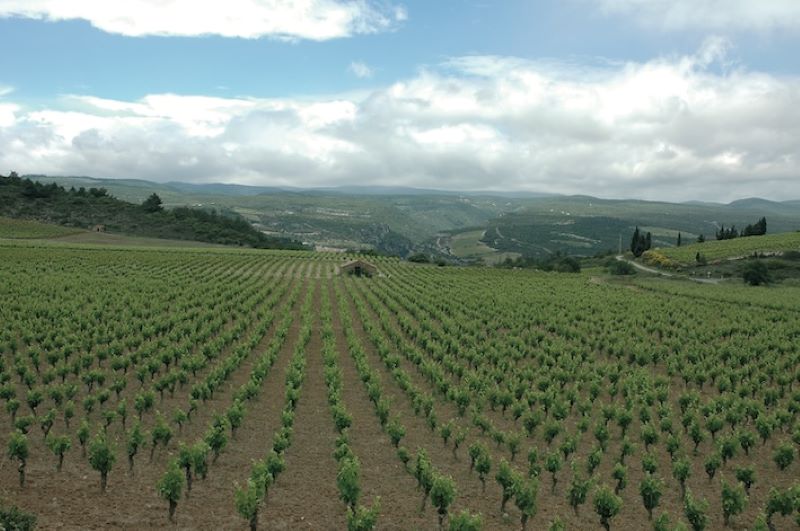Parc Naturel régional du Haut Languedoc : de mauvaises nouvelles !
