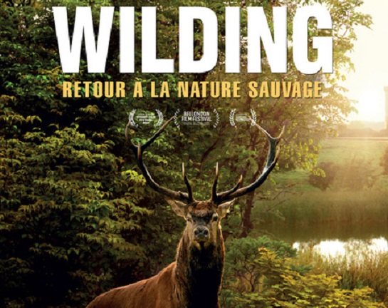  Wilding – Retour à la Nature sauvage  / Film documentaire