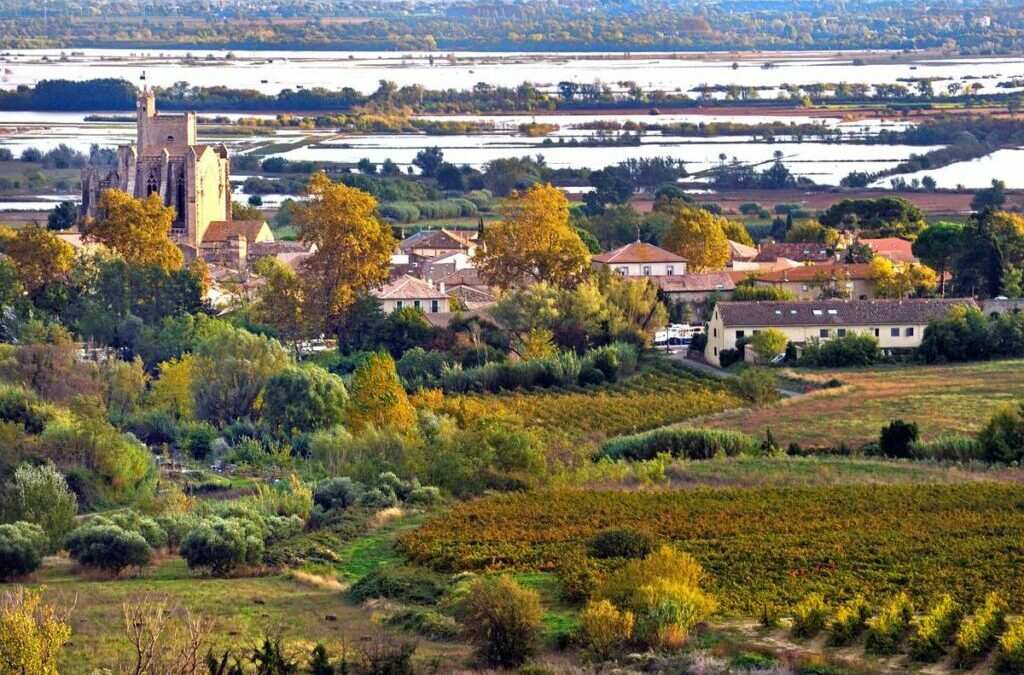 La mort de l’étang de Capestang, indicateur local d’un problème global