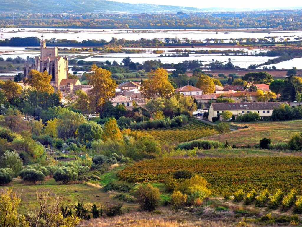 La mort de l’étang de Capestang, indicateur local d’un problème global