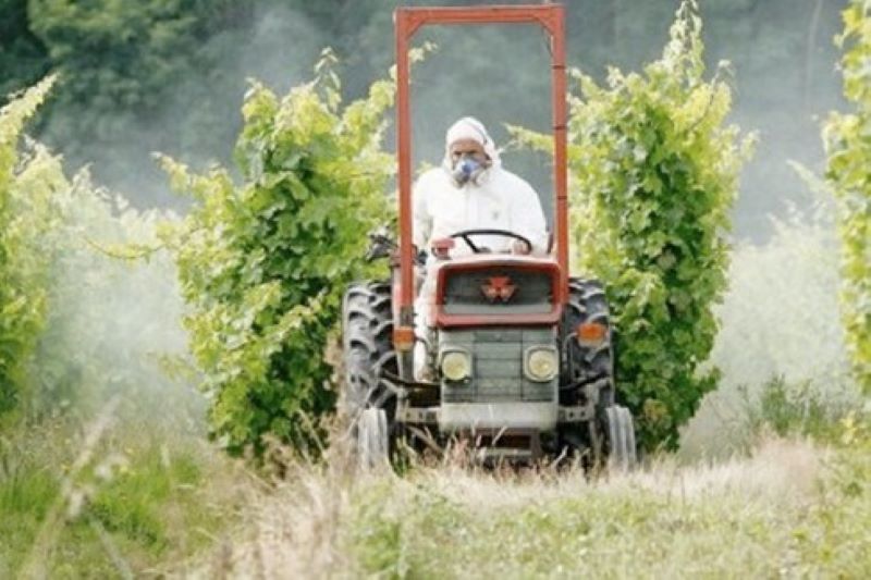 Viticulture : le modèle économique dominant ruine et tue