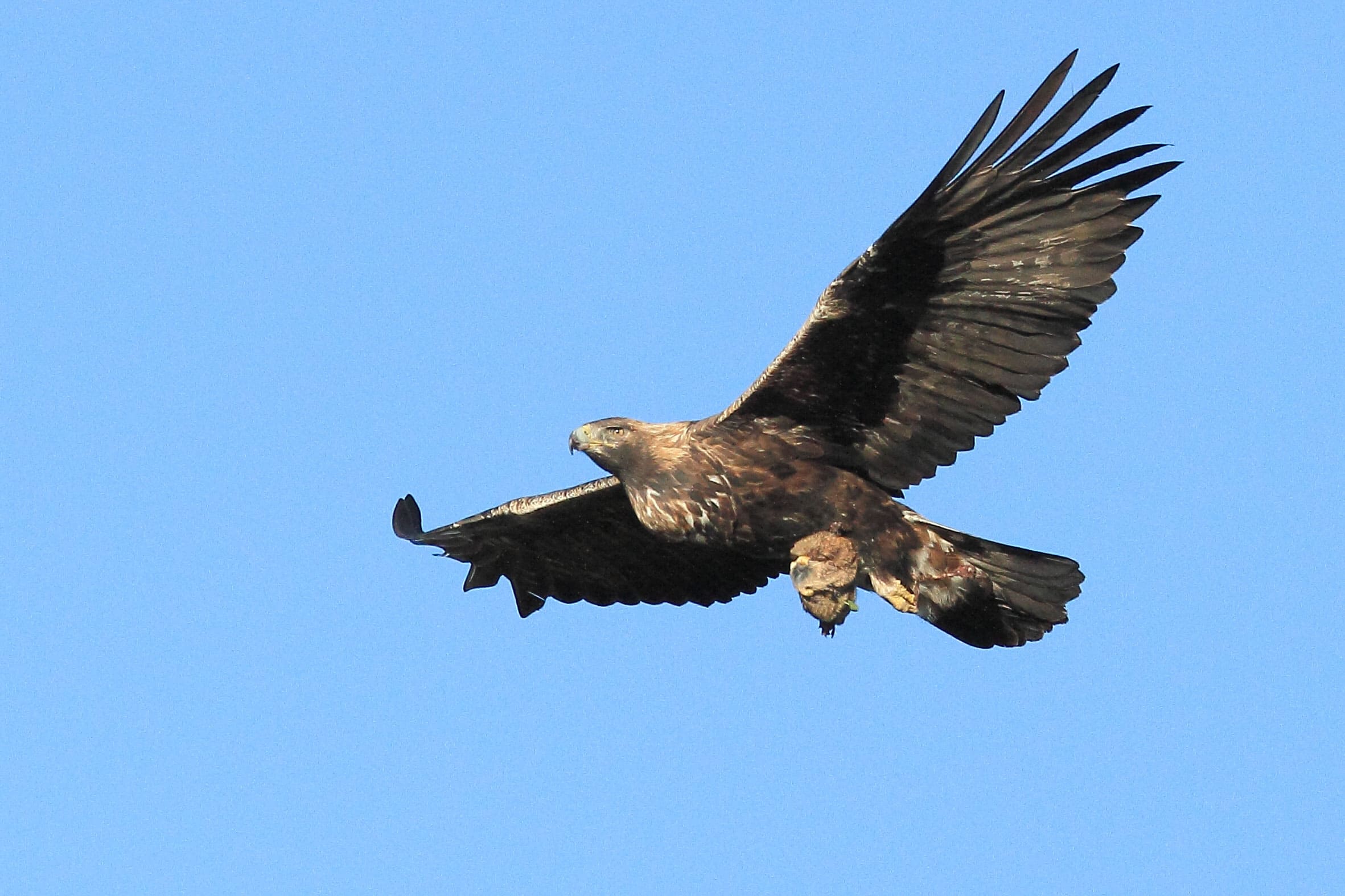 La saga judiciaire entre la société ERL du groupe Valeco à Bernagues-Lunas (34) n’est pas terminée ! 