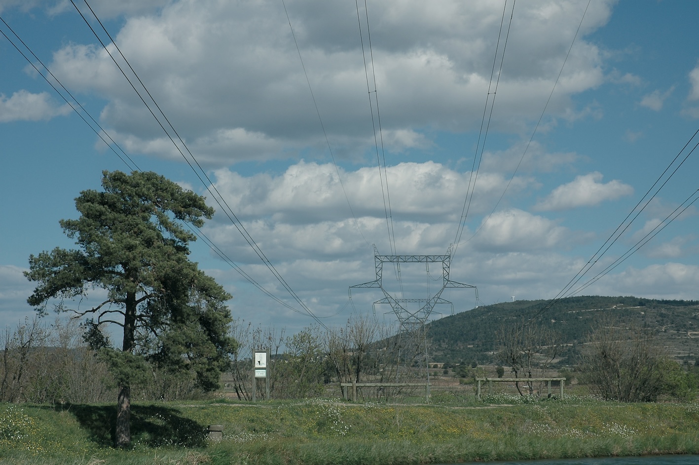Énergies renouvelables : un marché qui se concentre