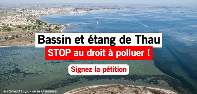 Bassin et étang de Thau : STOP au droit à polluer des milieux aquatiques et marins