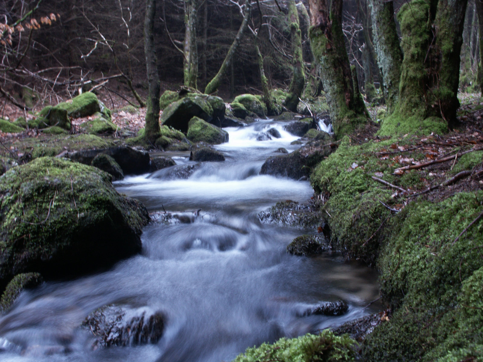 Moins de bouteilles Mont Roucous = manque d’eau ? Nerios groupe (1) propriétaire de Mont Roucous dans le viseur des associations