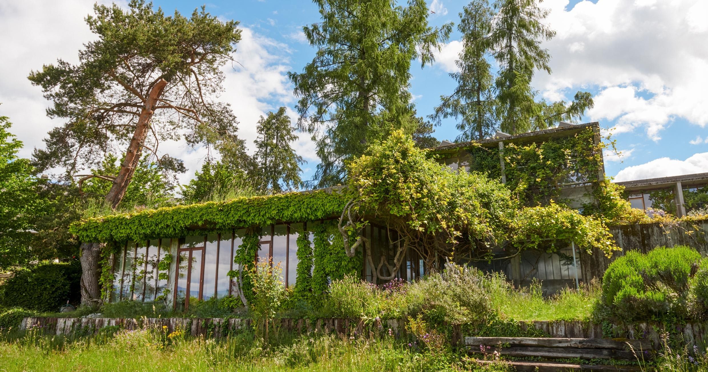 Arbres de pluie, dalles alvéolaires, puits d’infiltration : perméable, la ville du futur s’invente à Villeurbanne (Lucas Martin-Brodzicki)