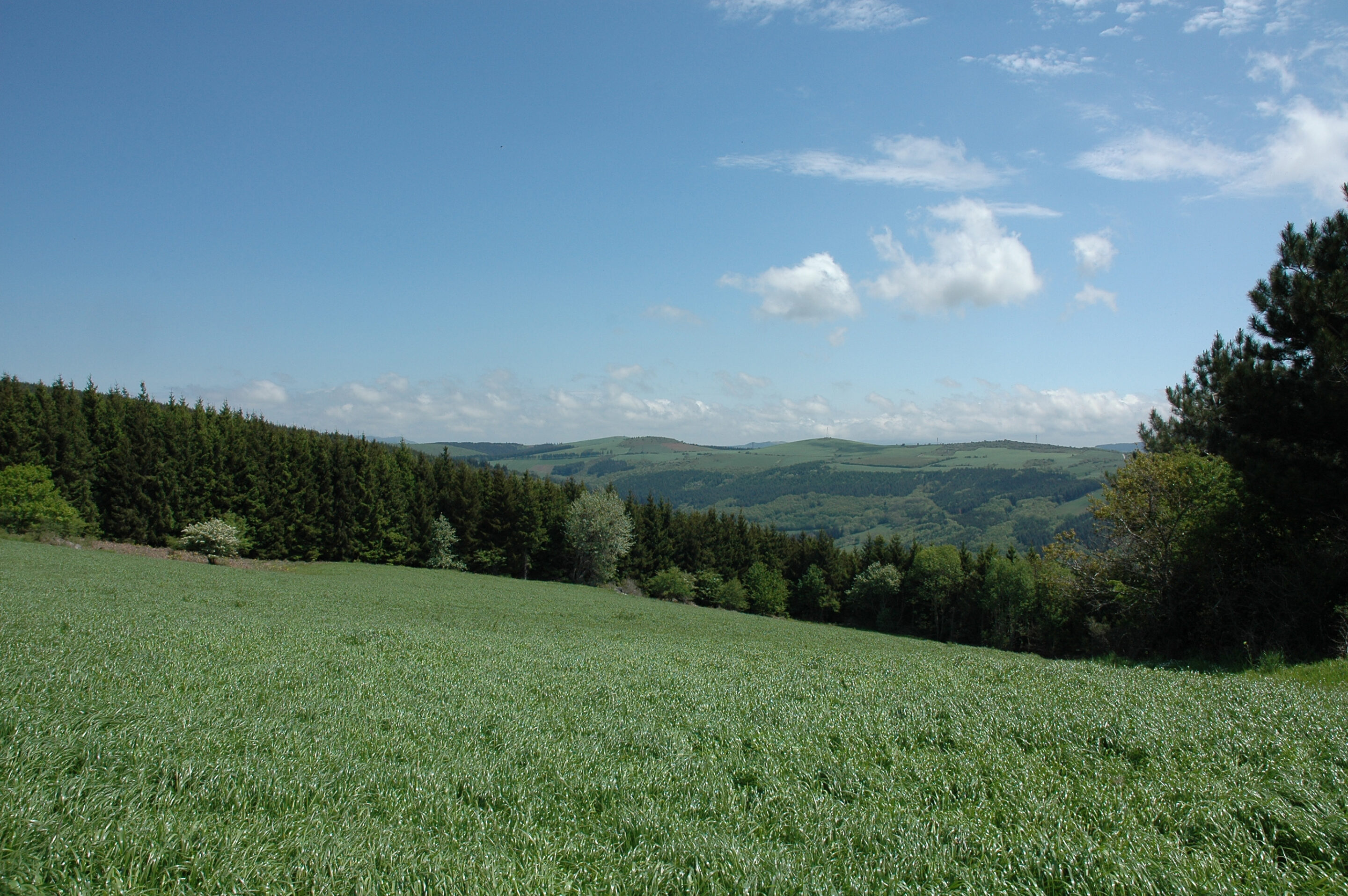 Le Parc naturel régional du Haut Languedoc a t-il un avenir ?