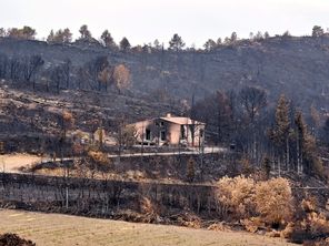 Suite du méga-feu des Corbières (2). Stoppons le pillage du bois brûlé ! Il est indispensable au redressement des territoires sinistrés