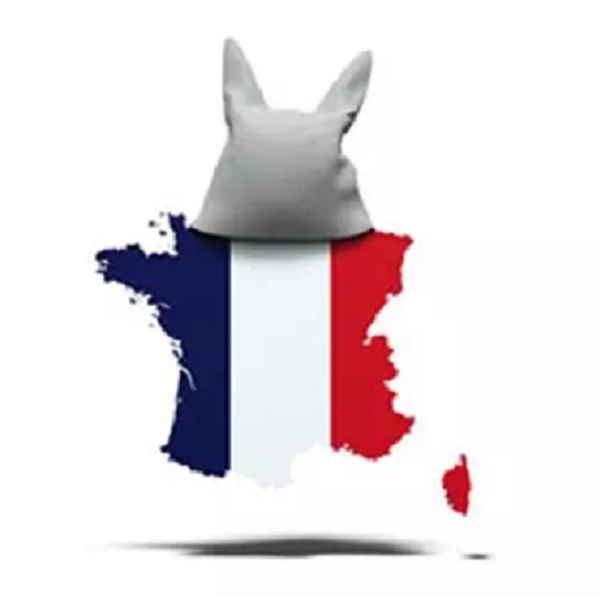 J&rsquo;en reviens pas ! Bonnet d’âne pour la France