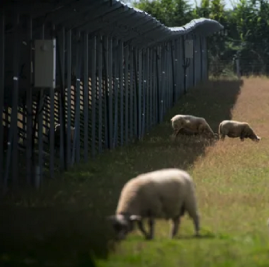 Quand une ingénieure dénonce le photovoltaïque et l’enfumage de l’agrivoltaïque