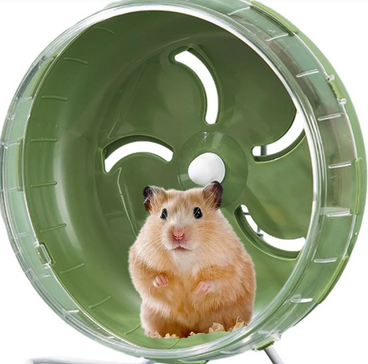 Le prof écolo et le hamster (Rediffusion)