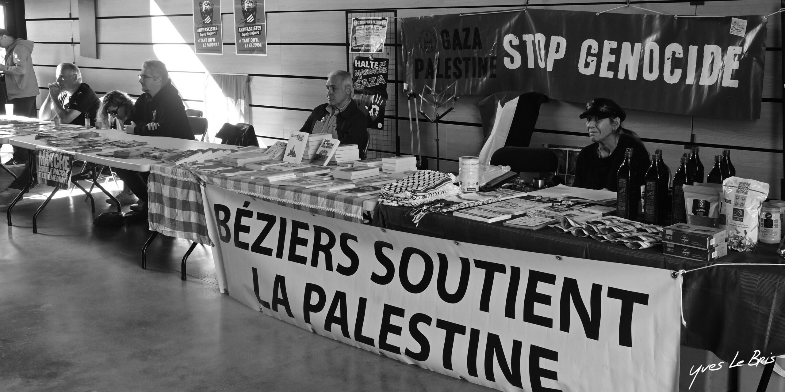 DSC_4268 copie « Rugir avant de disparaitre » Bord de l’Hérault 2026